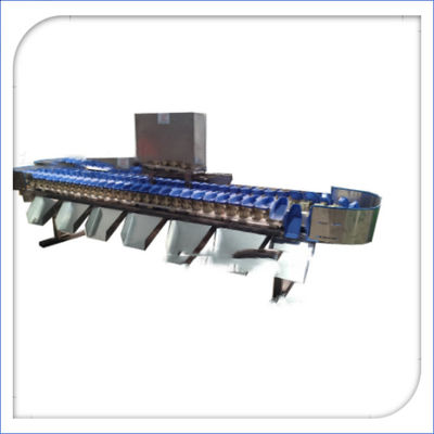 kupować Automatyczny elektroniczny sorter owocowy i wagarka online manufacture