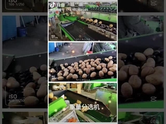 Dostosuj równiarkę do warzyw owocowych