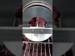 Pas oddzielający kości z ryb PU, pas oddzielający kości, taśma przenośna